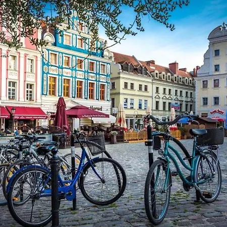 Wyszynskiego Polska Διαμέρισμα *